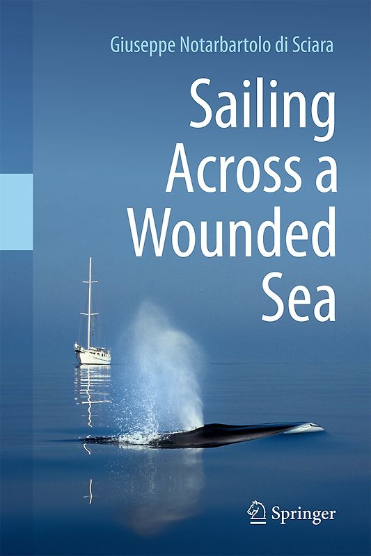 Sailing Across a Wounded Sea