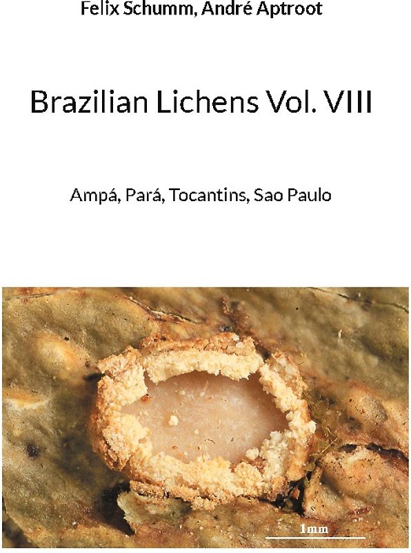 Brazilian Lichens Vol. VIII