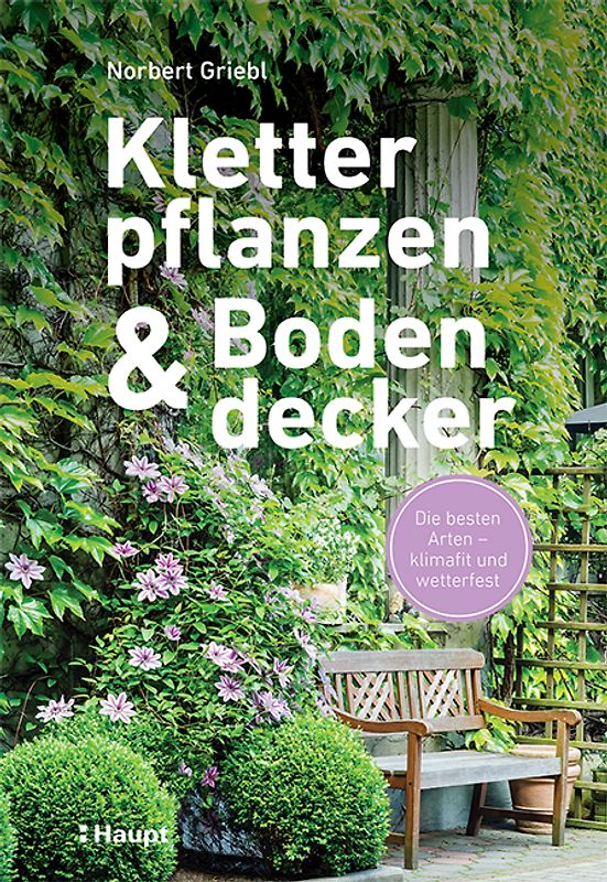 Kletterpflanzen und Bodendecker