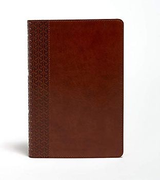 KJV Everyday Study Bible, British Tan Leathertouch