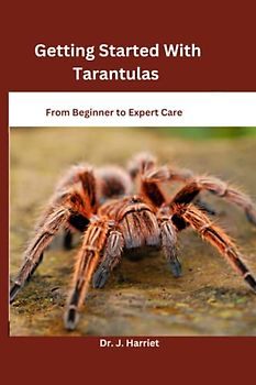 Getting Started With Tarantulas: From Beginner to Expert Care