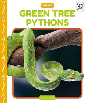 Green Tree Pythons