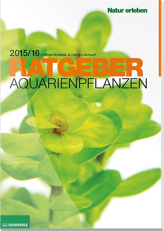 Aquarienpflanzen Ratgeber