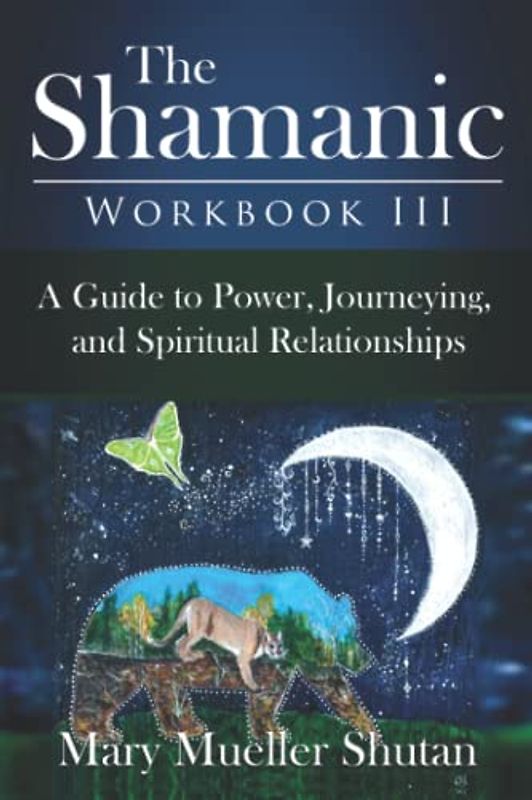 The Shamanic Workbook III: A Guide to Power, Journeying, and Spiritual Relationships (Shamanic Workbook Series, Band 3)