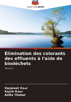 Élimination des colorants des effluents à l'aide de biodéchets
