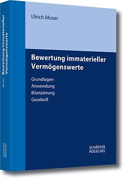 Bewertung immaterieller Vermögenswerte