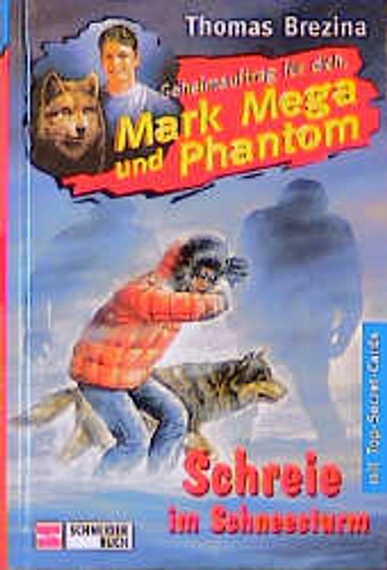 Geheimauftrag für dich, Mark Mega und Phantom / Schreie im Schneesturm