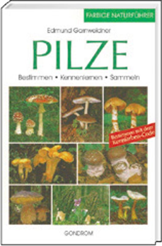Pilze