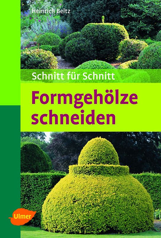 Formgehölze schneiden. Schnitt für Schnitt