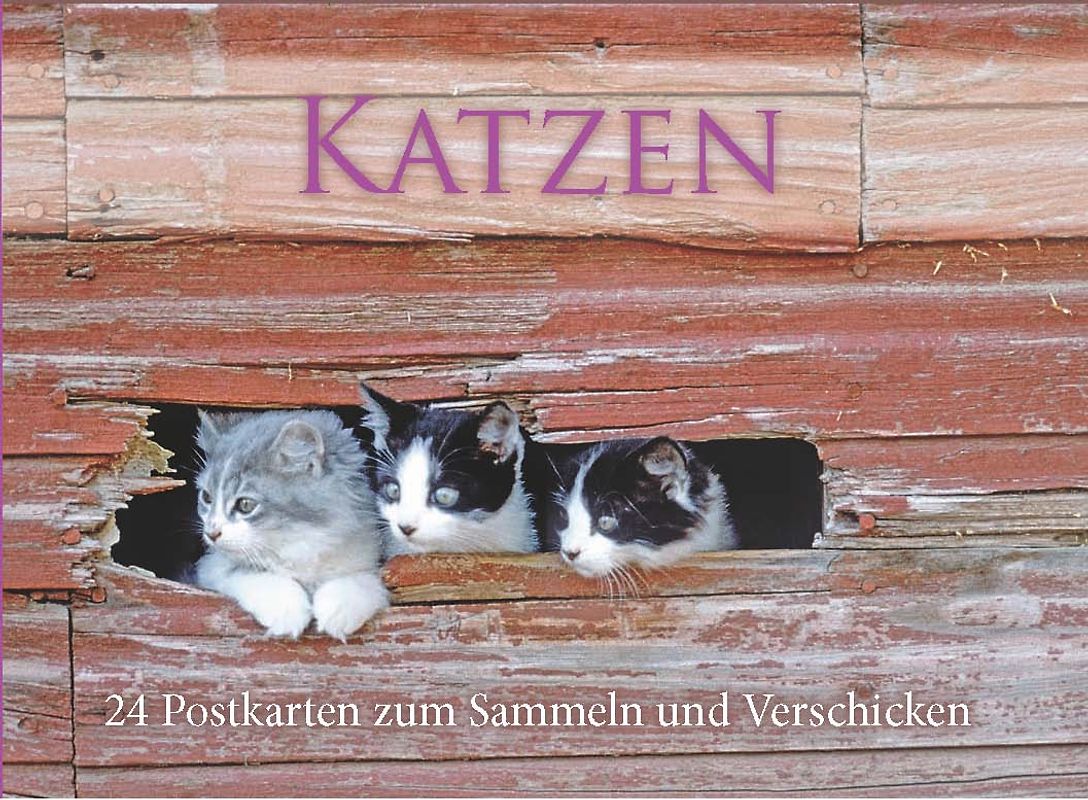 Postkartenbuch Katzen