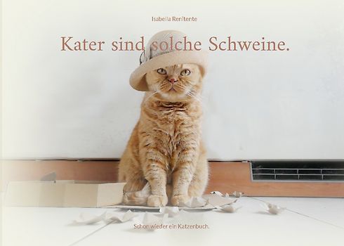 Kater sind solche Schweine.
