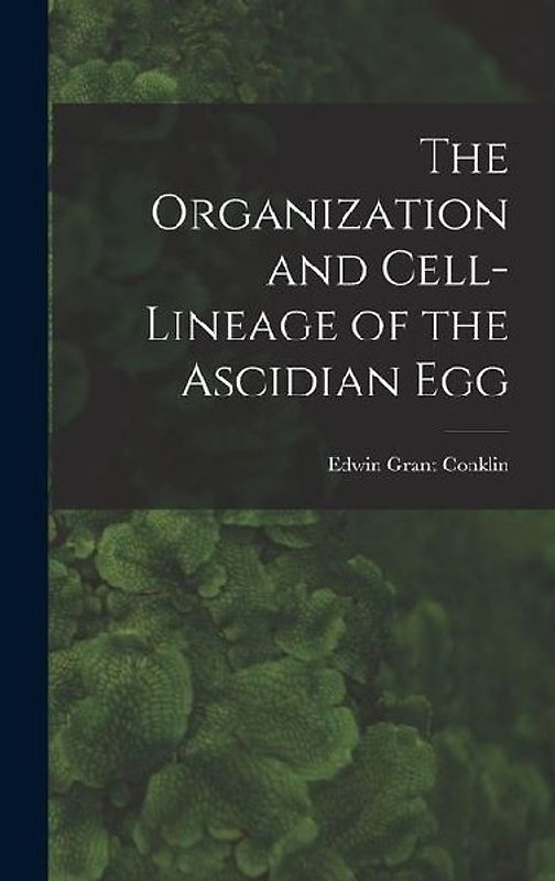 The Organization and Cell-lineage of the Ascidian Egg