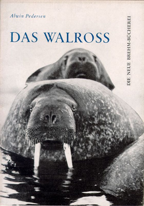 Das Walroß