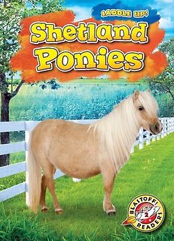 Shetland Ponies
