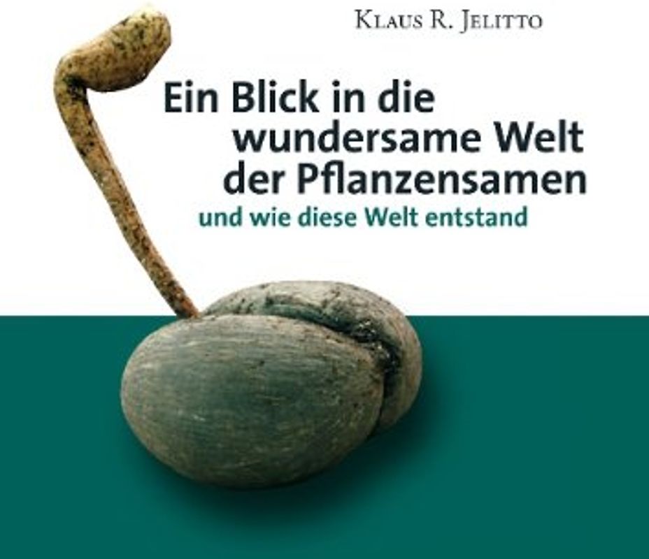 Ein Blick in die wundersame Welt der Pflanzensamen. und wie diese Welt entstand