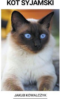 Kot Syjamski