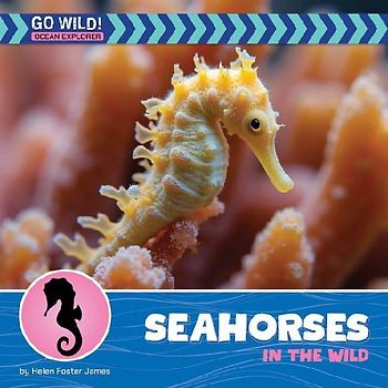 Seahorses in the Wild