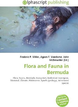 Flora and Fauna in Bermuda