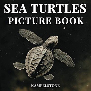 Sea Turtles Picture Book: 100 Images of these Cute Sea Creatures - Great Gift for Turtle Lovers or Coffee Table Book
