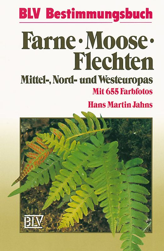 Farne, Moose, Flechten