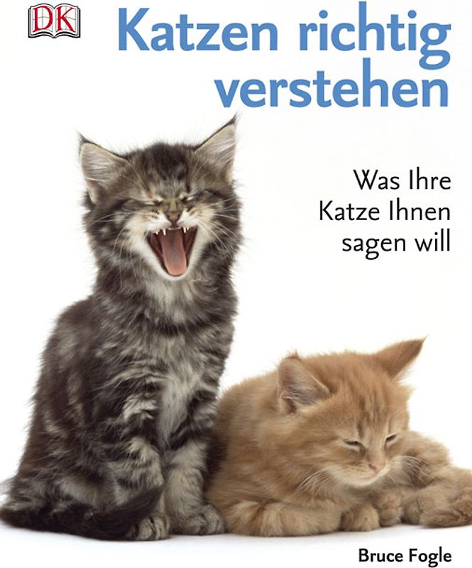 Katzen richtig verstehen