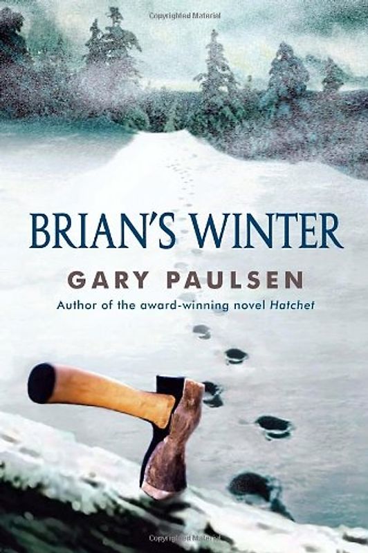 Brian's Winter - Paulsen, Gary