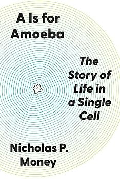 A is for Amoeba