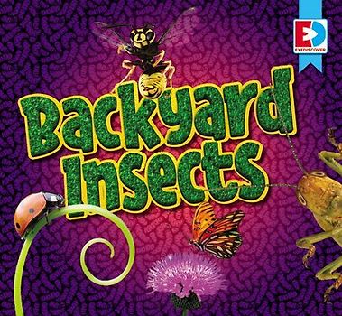 Backyard Insects