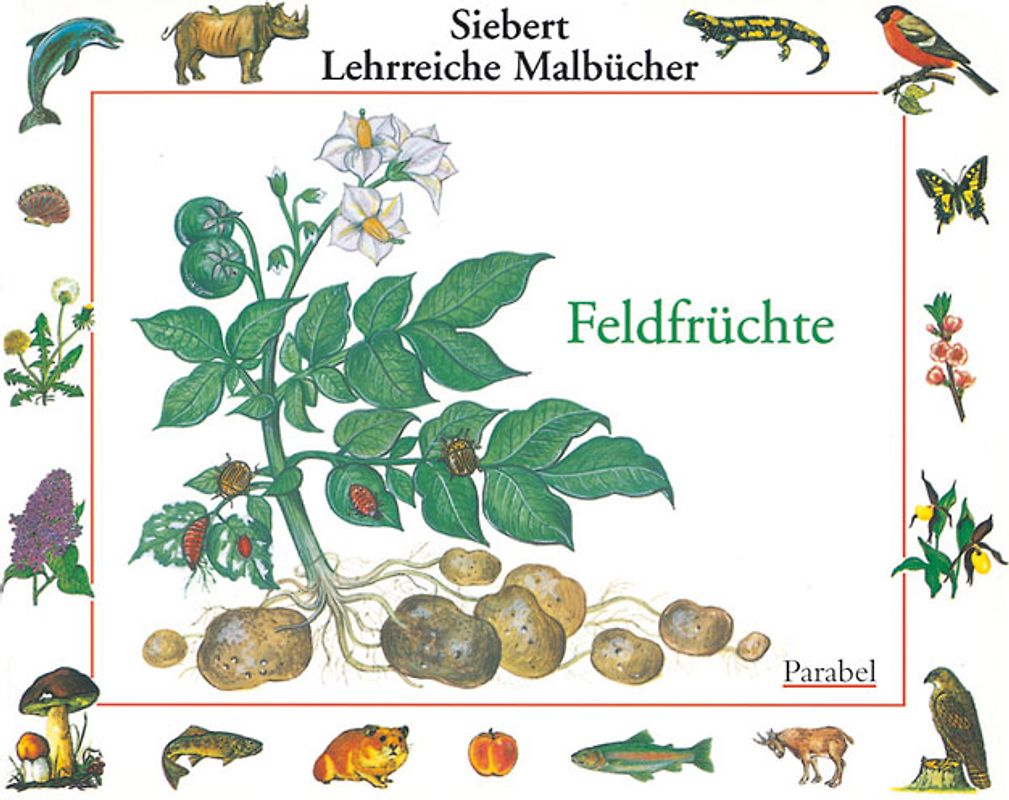 Feldfrüchte. Malbuch