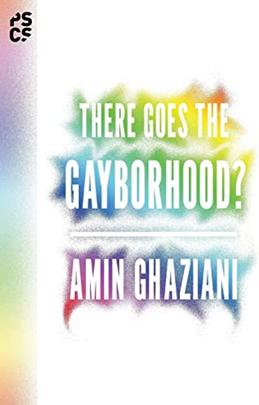 There Goes the Gayborhood? (Princeton Studies in Cultural Sociology, Band 68)