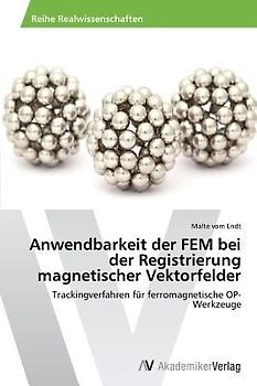 Anwendbarkeit der FEM bei der Registrierung magnetischer Vektorfelder