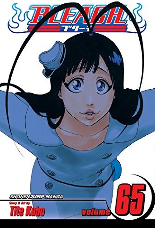 Bleach, Vol. 65 - Kubo, Tite