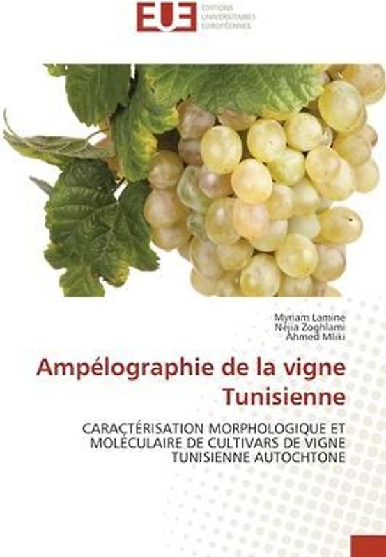 Ampélographie de la vigne Tunisienne