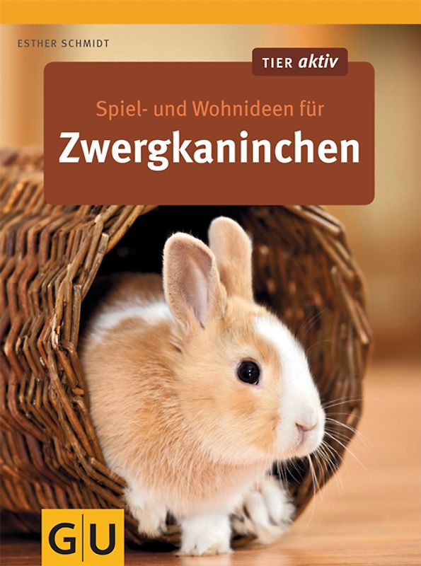 Spiel- und Wohnideen für Zwergkaninchen