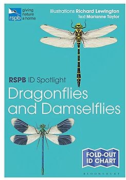 Rspb Id Spotlight - Dragonflies and Damselflies