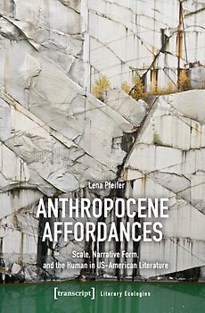 Anthropocene Affordances