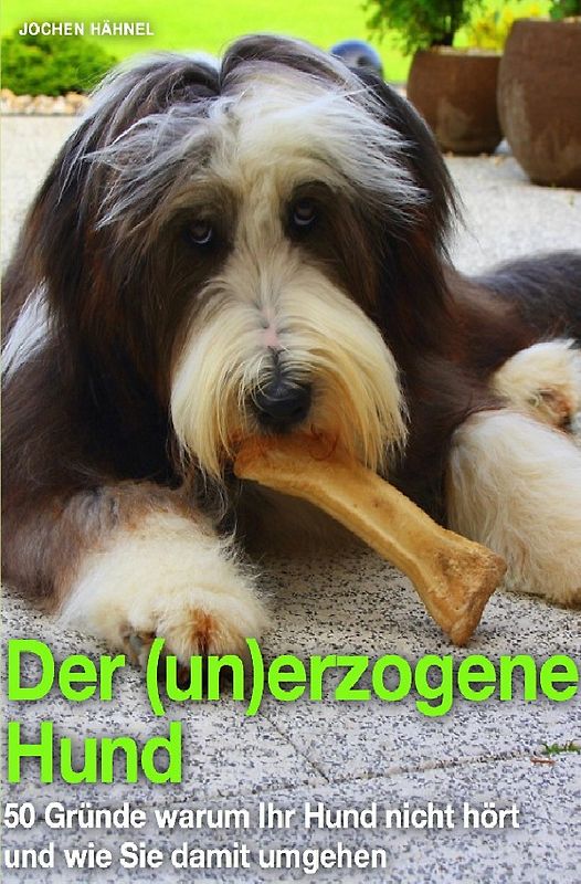 Der (un)erzogene Hund