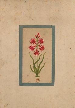 Carnet Ligné Fleur 1, Miniature Indienne 18e Siècle
