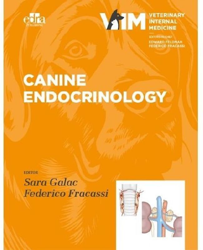 Canine Endocrinology