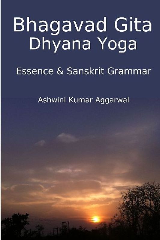 Bhagavad Gita Dhyana Yoga - Essence & Sanskrit Grammar