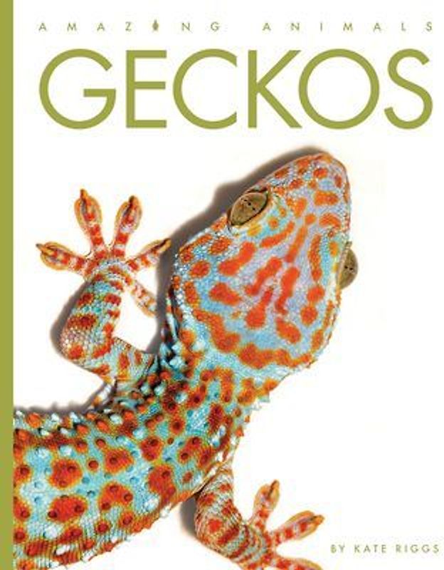 Geckos