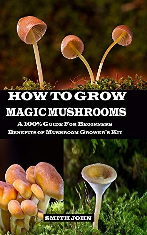 HOW TO GROW MAGIC MUSHROOMS: A 100% Guide for Beginners. Benefits of Mushroom Grower's kit