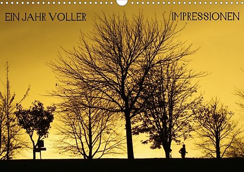 Ein Jahr voller Impressionen (Posterbuch DIN A4 quer)