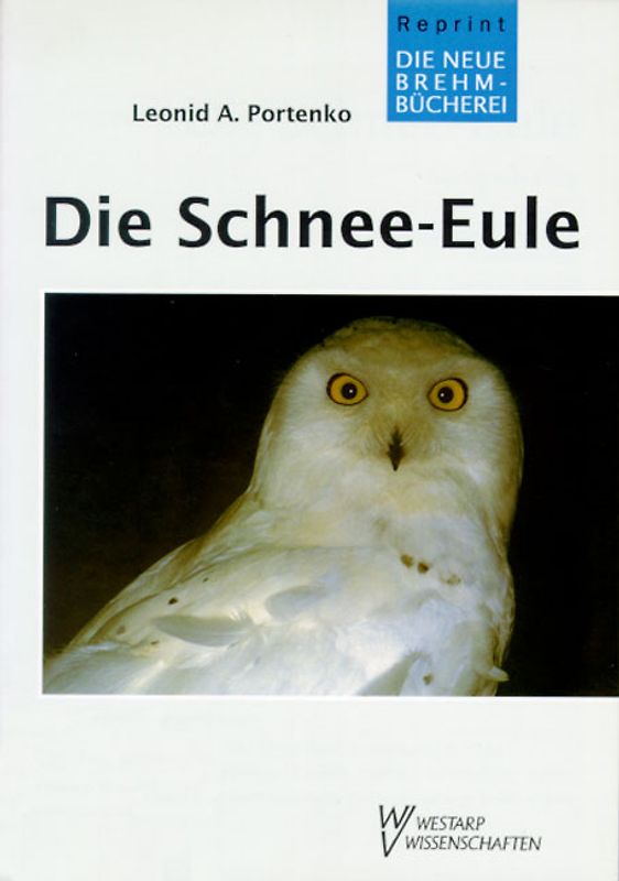Die Schnee-Eule