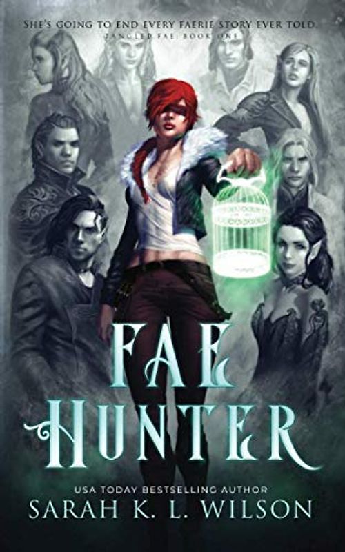 Fae Hunter (Fae Hunter Series, Band 1)