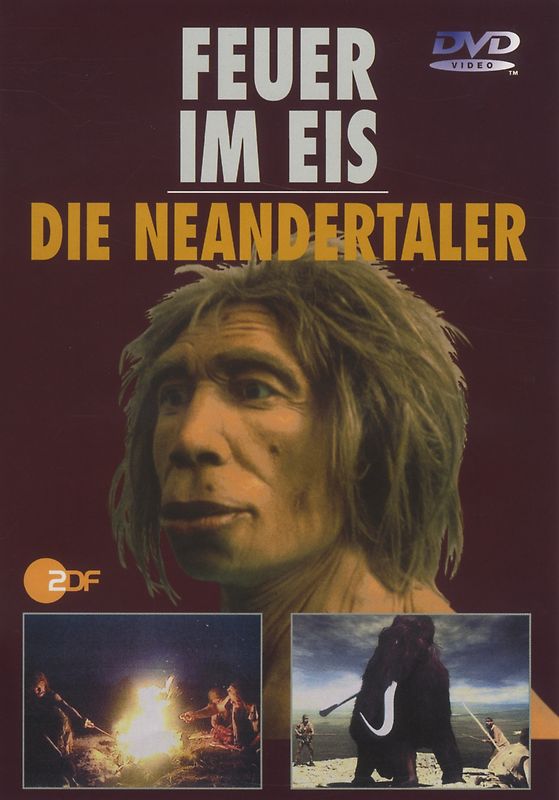 Feuer im Eis - Die Neandertaler DVD
