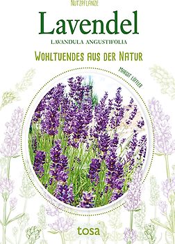 Lavendel