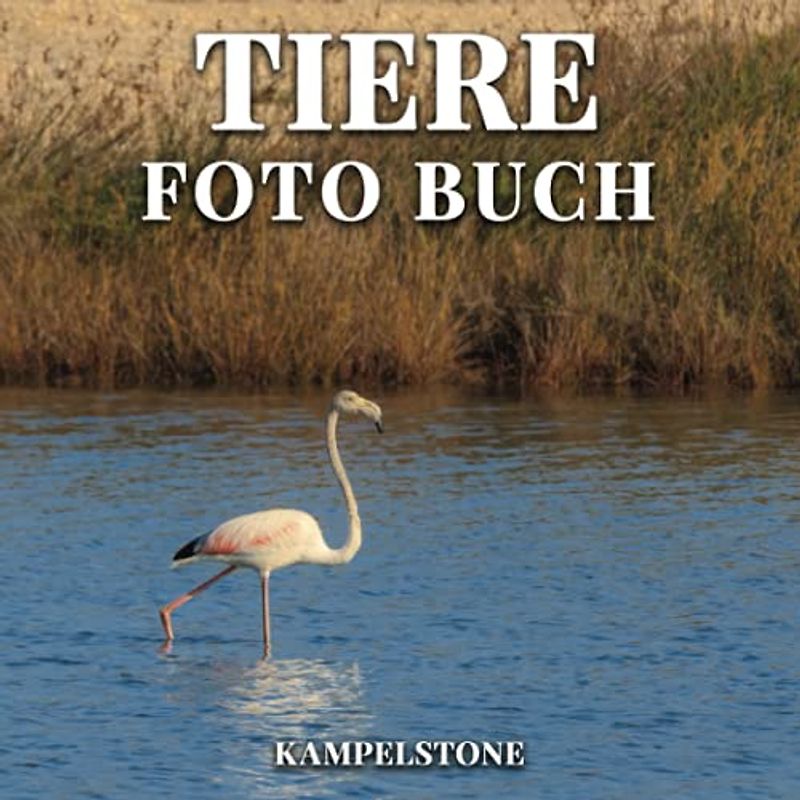 Tiere Foto Buch: 100 wunderschöne Bilder von verschiedenen Säugetieren, Meerestieren, Amphibien, Reptilien und mehr - Perfektes Geschenk- oder Kaffeetischbuch
