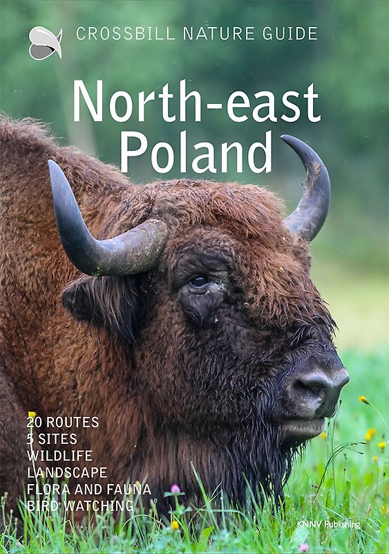 Crossbill Nature Guide North-east Poland