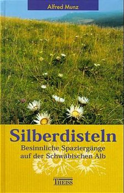 Silberdisteln